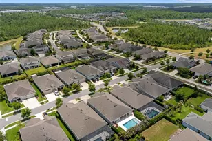 16691 Vibrato Ln, Land O Lakes, FL 34638 - Photo 83