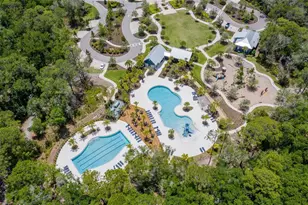 16691 Vibrato Ln, Land O Lakes, FL 34638 - Photo 97