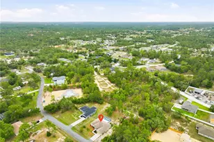 13056 Painted Bunting Ave, Weeki Wachee, FL 34614 - Photo 45