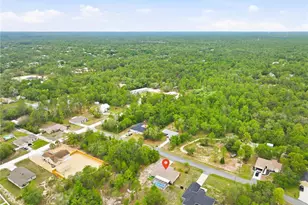 13056 Painted Bunting Ave, Weeki Wachee, FL 34614 - Photo 49
