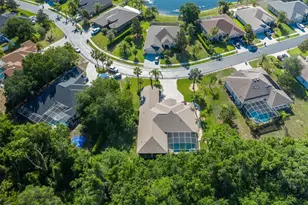 1739 Mountain Ash Way, New Port Richey, FL 34655 - Photo 87