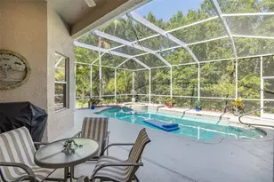 1739 Mountain Ash Way, New Port Richey, FL 34655 - Photo 49
