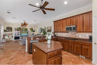 1739 Mountain Ash Way, New Port Richey, FL 34655 - Photo 27