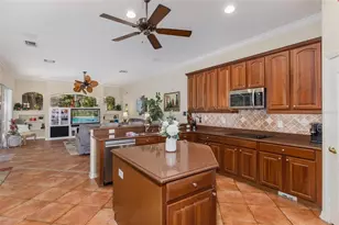 1739 Mountain Ash Way, New Port Richey, FL 34655 - Photo 27