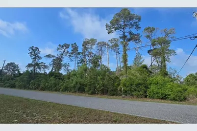 10044 Noddy Tern Road, Weeki Wachee, FL 34613 - Photo 3