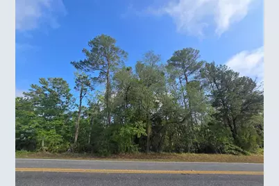 10185 Noddy Tern Road, Weeki Wachee, FL 34613 - Photo 3
