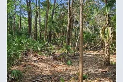 0 Osowaw, Spring Hill, FL 34607 - Photo 5