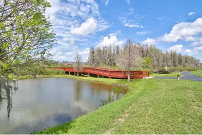 10426 Mount Dora Street, New Port Richey, FL 34655 - Photo 37