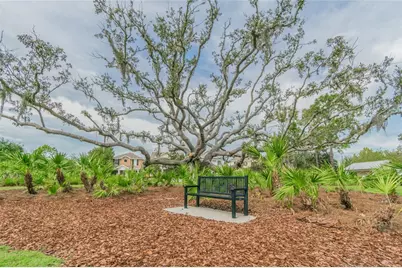 10426 Mount Dora Street, New Port Richey, FL 34655 - Photo 43