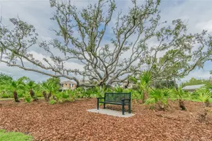 10426 Mt Dora St, New Port Richey, FL 34655 - Photo 43