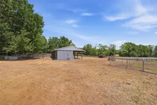 35600 Blanton Rd, Dade City, FL 33523 - Photo 79