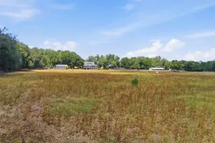 35600 Blanton Rd, Dade City, FL 33523 - Photo 47