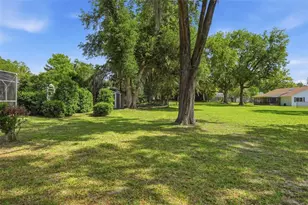 10002 Domingo Dr, Brooksville, FL 34601 - Photo 57