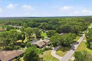 10002 Domingo Dr, Brooksville, FL 34601 - Photo 67