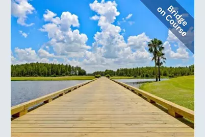 1142 Sweet Jasmine Drive, Trinity, FL 34655 - Photo 29