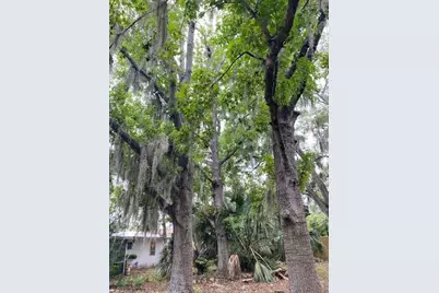 6442 Treehaven Drive, Spring Hill, FL 34606 - Photo 27