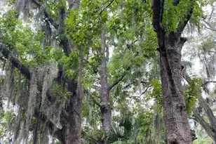6442 Treehaven Dr, Spring Hill, FL 34606 - Photo 27