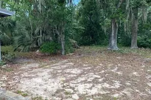 6442 Treehaven Dr, Spring Hill, FL 34606 - Photo 25