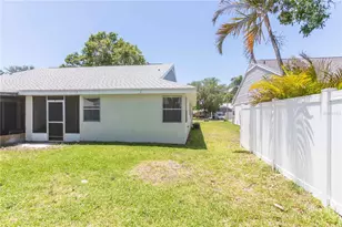 327 Phlox Dr, Palm Harbor, FL 34684 - Photo 19