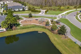 2784 Satilla Loop, Odessa, FL 33556 - Photo 45