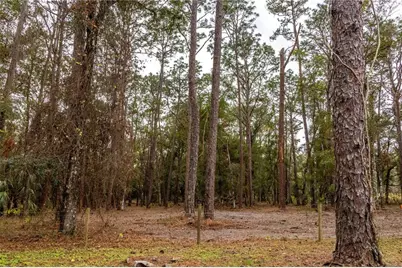 24091 Richbarn Road, Brooksville, FL 34601 - Photo 13