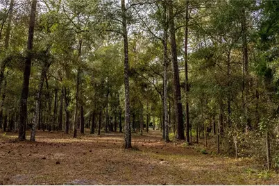 24091 Richbarn Road, Brooksville, FL 34601 - Photo 37