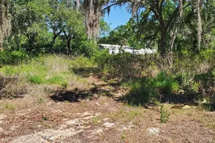 11939 Bemont Ave, New Port Richey, FL 34654 - Photo 1