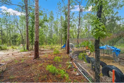 18336 Macek Road, Weeki Wachee, FL 34614 - Photo 41