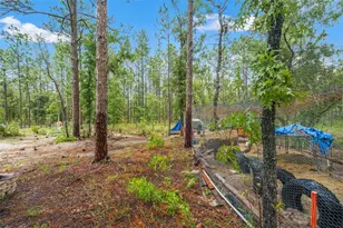 18336 Macek Rd, Weeki Wachee, FL 34614 - Photo 41