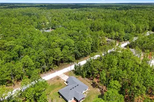 18336 Macek Rd, Weeki Wachee, FL 34614 - Photo 67