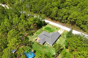 18336 Macek Rd, Weeki Wachee, FL 34614 - Photo 53