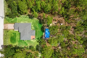 18336 Macek Rd, Weeki Wachee, FL 34614 - Photo 55