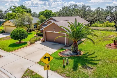 13253 Golf Ridge Place, Hudson, FL 34669 - Photo 3