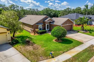 13253 Golf Ridge Pl, Hudson, FL 34669 - Photo 41
