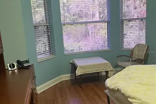 7245 Cleopatra Dr, Land O Lakes, FL 34637 - Photo 13
