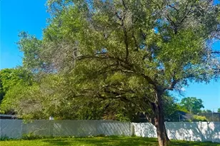 1215 Gatewood Ave, Spring Hill, FL 34608 - Photo 21