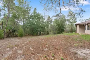 [Address not provided], Weeki Wachee, FL 34613 - Photo 31