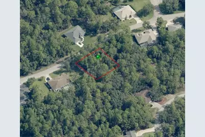 31 Saintpaulia Street, Homosassa, FL 34446 - Photo 1