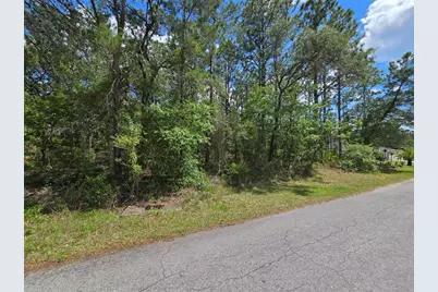 31 Saintpaulia Street, Homosassa, FL 34446 - Photo 3