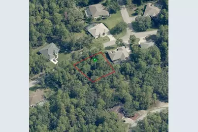 29 Saintpaulia Street, Homosassa, FL 34446 - Photo 1