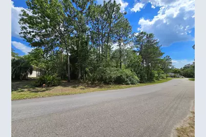 29 Saintpaulia Street, Homosassa, FL 34446 - Photo 3