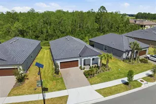 9776 Minnow Ray Dr, Land O Lakes, FL 34638 - Photo 29