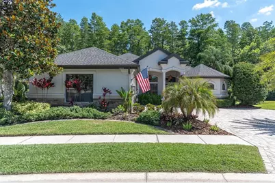 15223 Wind Whisper Drive, Odessa, FL 33556 - Photo 69