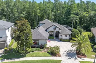 15223 Wind Whisper Dr, Odessa, FL 33556 - Photo 1