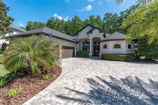 15223 Wind Whisper Dr, Odessa, FL 33556 - Photo 67