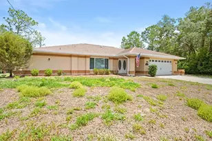 3272 Bluestone Ave, Spring Hill, FL 34609 - Photo 49