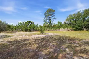 10260 Caracara Ave, Weeki Wachee, FL 34613 - Photo 43