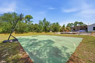 10260 Caracara Ave, Weeki Wachee, FL 34613 - Photo 47