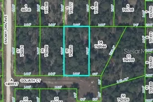 0 Goliath Ct, Weeki Wachee, FL 34614 - Photo 1
