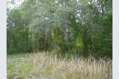 0 Goliath Court, Weeki Wachee, FL 34614 - Photo 5